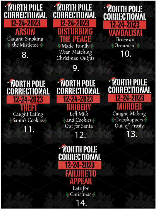 North Pole Correctional DTF Transfer