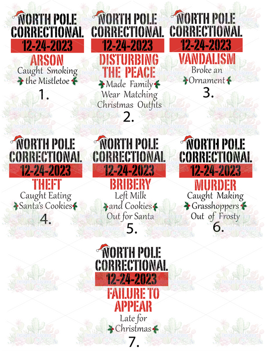 North Pole Correctional DTF Transfer